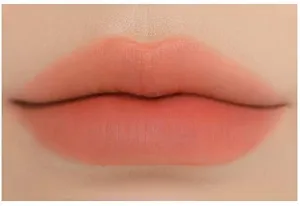 3CE BLUR WATER TINT(4.6g) soft lip with less smear with a blurry finish (#LAYDOWN) with sun cream(1ml*3ea)