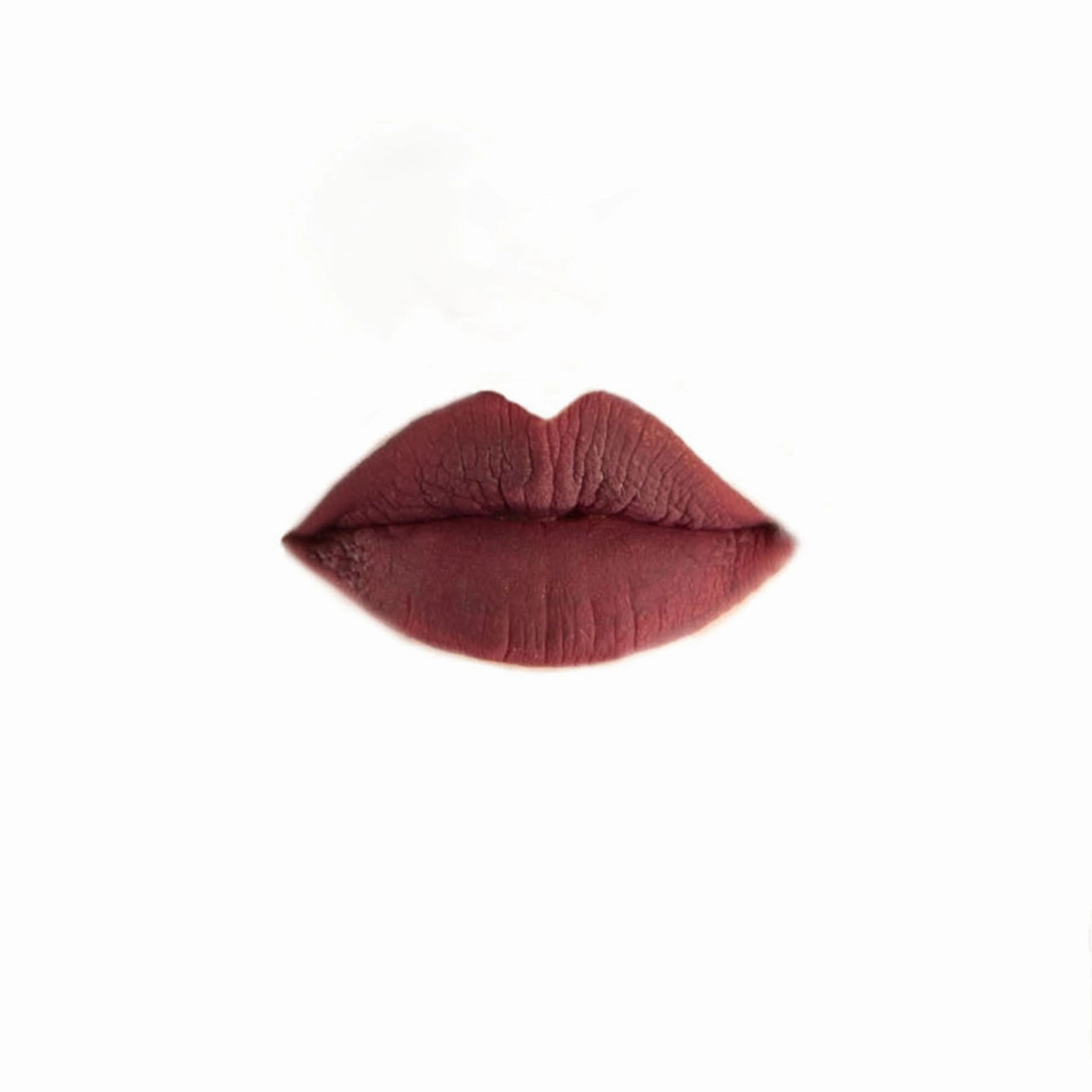 Bullet Bra Burgundy - HIGH PERFORMANCE MATTE LIQUID LIP