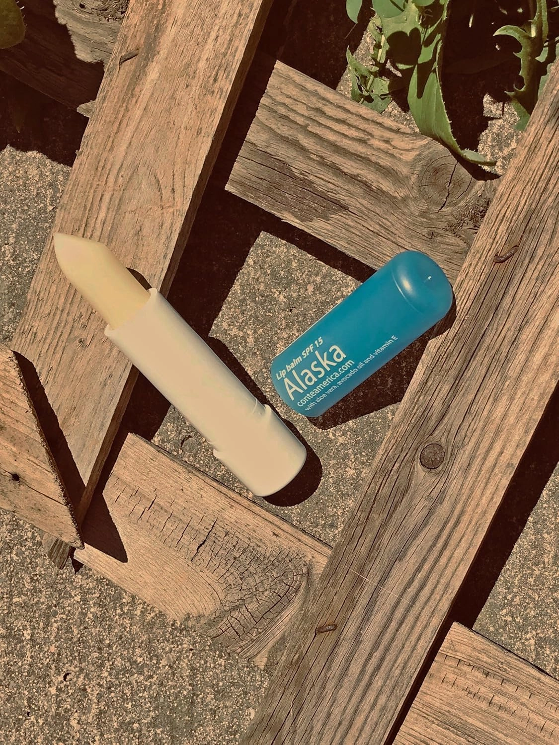 Conte Natural Beeswax Moisturizing Lip Balm Alaska Chapstick for Dry Lips with Avocado, Jojoba, Castor Oils SPF 15 (10)
