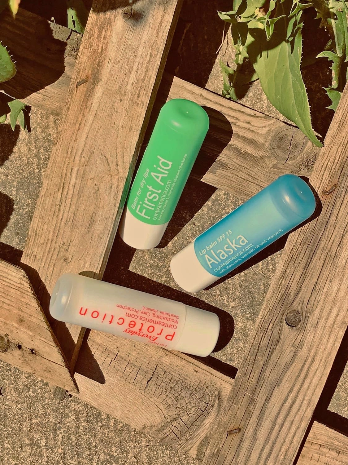 Conte Natural Beeswax Moisturizing Lip Balm Alaska Chapstick for Dry Lips with Avocado, Jojoba, Castor Oils SPF 15 (10)
