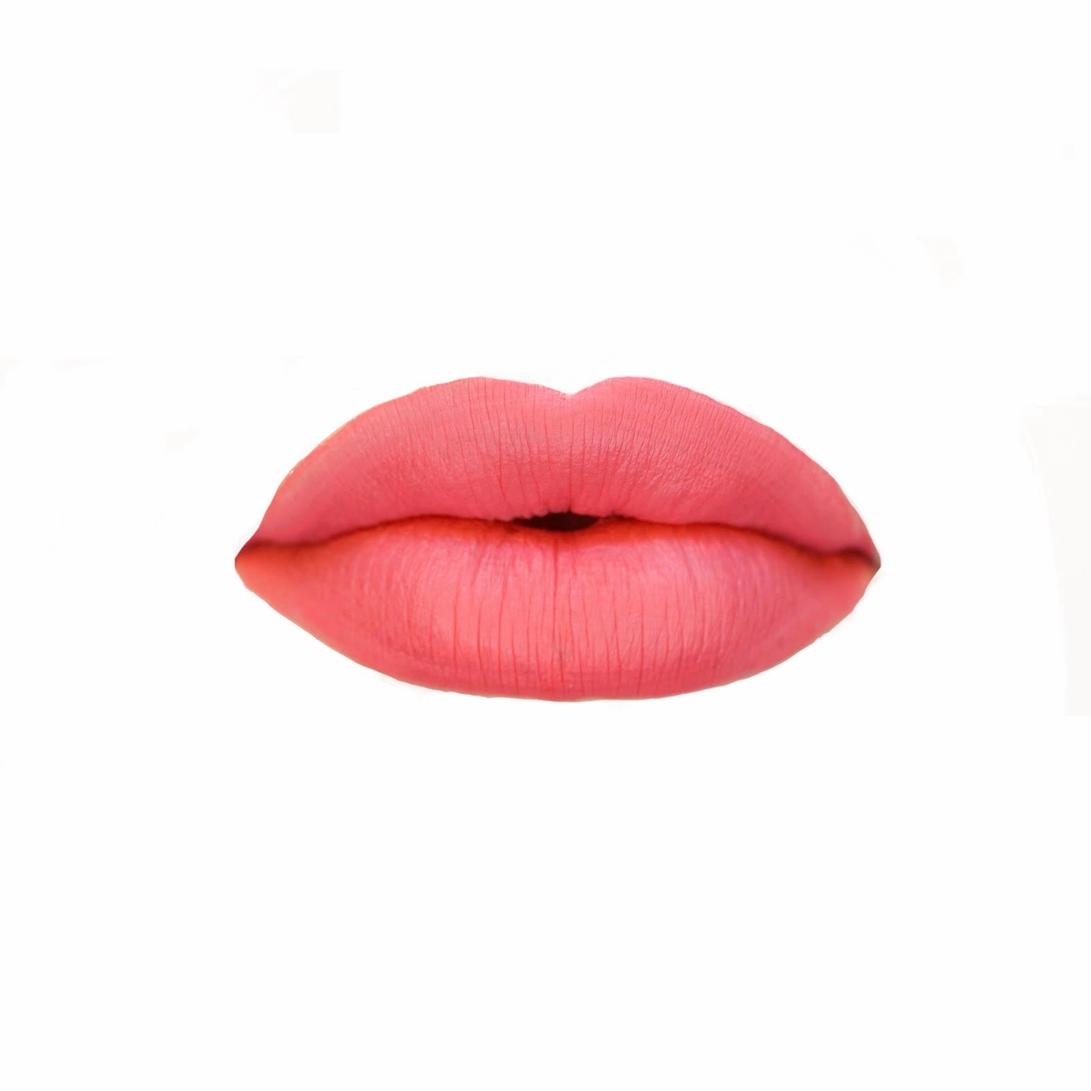 Flirty Flamingo 🦩- HIGH PERFORMANCE MATTE LIQUID LIP