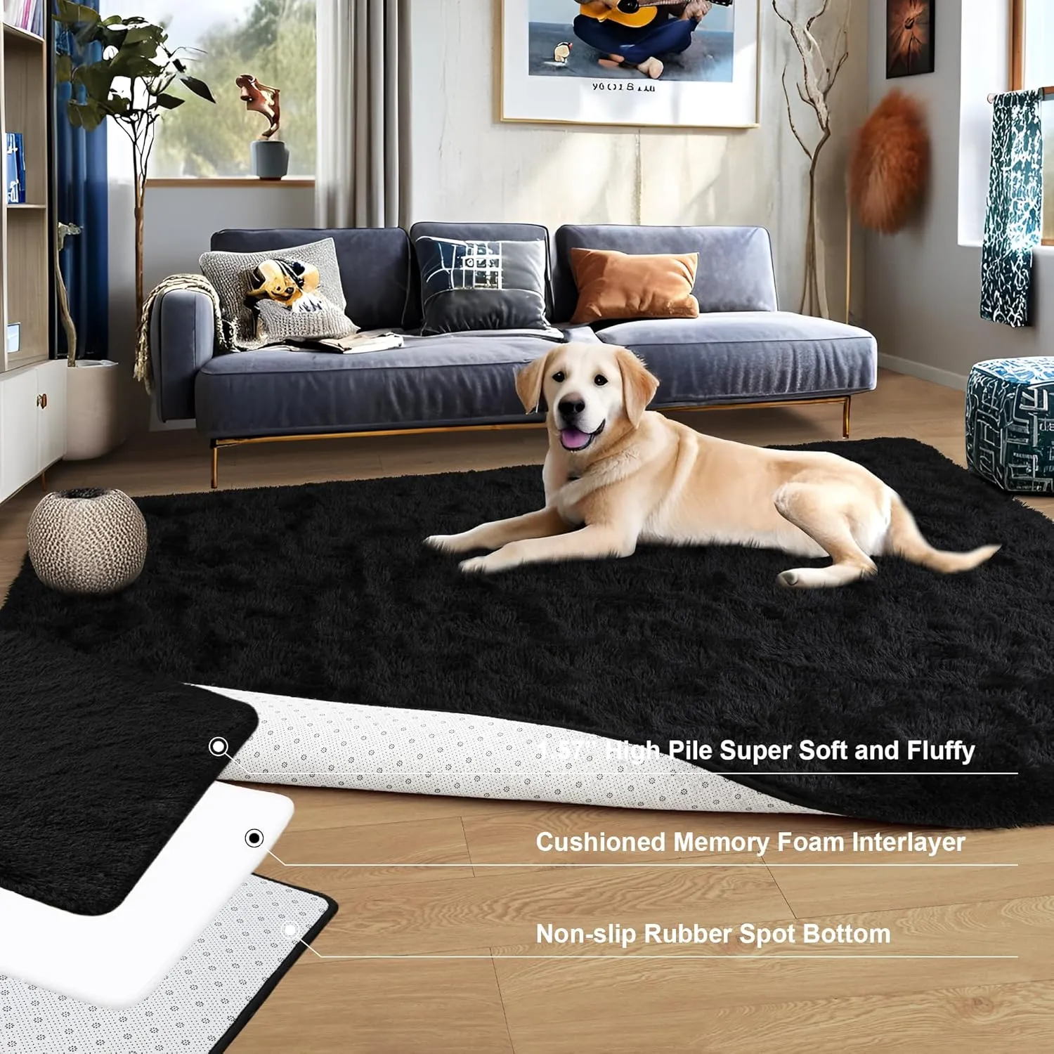 Foxmas Soft Fluffy Area Rugs for Bedroom Kids Room Plush Shaggy Nursery Rug Furry Throw Carpets for Boys Girls, College Dorm Fuzzy Rugs Living Room Home Decorate Rug, 2ft x 3ft, Black