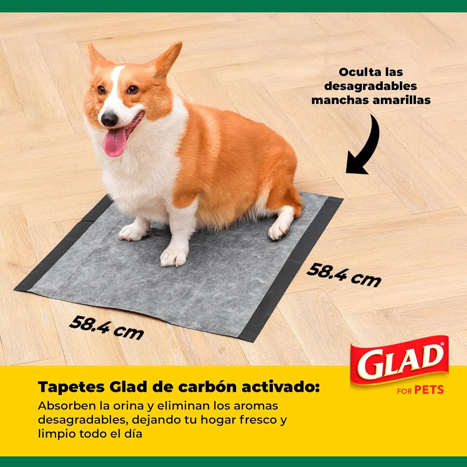 Glad for Pets Black Charcoal Puppy Pads, 23"x23" Disposable Pee Pad That Absorbs & Neutralizes Urine Instantly, Activated Carbon Training Pads For Dogs, Potty Training Supplies - 100 Count