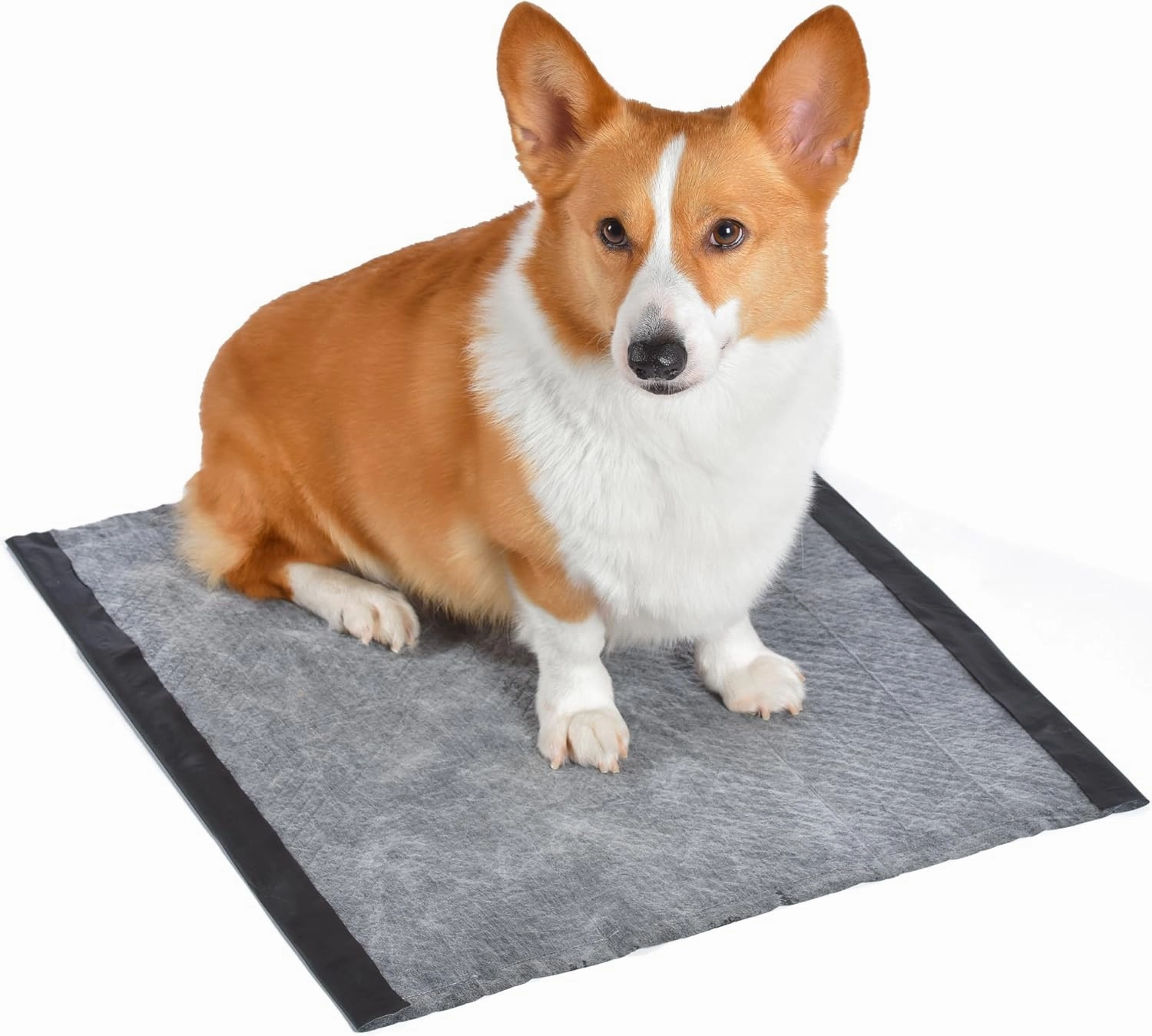 Glad for Pets Dual Action Freshness Activated Carbon Puppy Training Pads with Fragrance Release, Scented Pee Pads, Ultra Absorbent, Odor Control. 23"x23" 100ct
