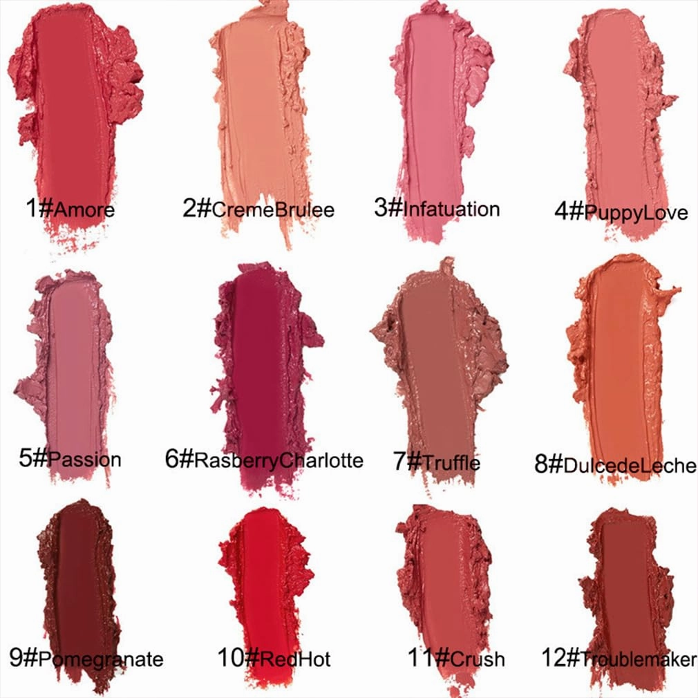 Hailnrothwad Lipstick,12 Colors Cream Texture Lipstick, Waterproof Non-Sticky Lip Gloss, Long-Lasting Moisturizing Matte Finish, Highly Pigmented Lip Color For Daily Makeup And Travel Use (5#)