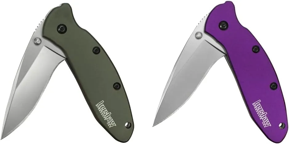 Kershaw Scallion Pocket Knife, 2.4 inch Folding Blade, SpeedSafe Assisted Opening, Perfect EDC, Made in the USA, Multiple Styles