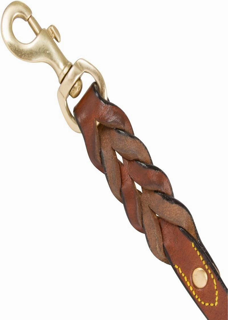 Leather Braided Dog Leash, Brown with Padded Handle for Comfort, 6 Foot