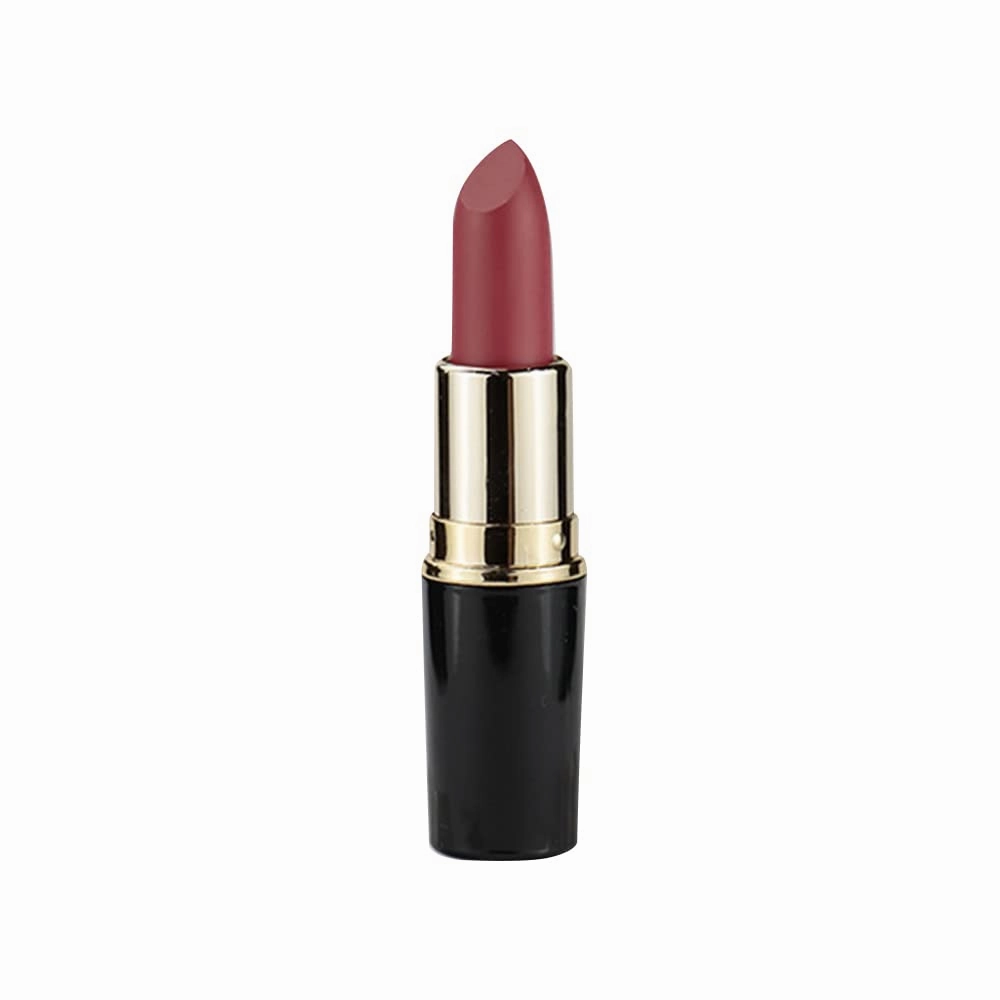 Matte Waterproof LipStick, 14 Colors Long Lasting Lip Makeup No Fade Pigmented Lip Stick Cosmeitc Gift for Girls and Women (12#)
