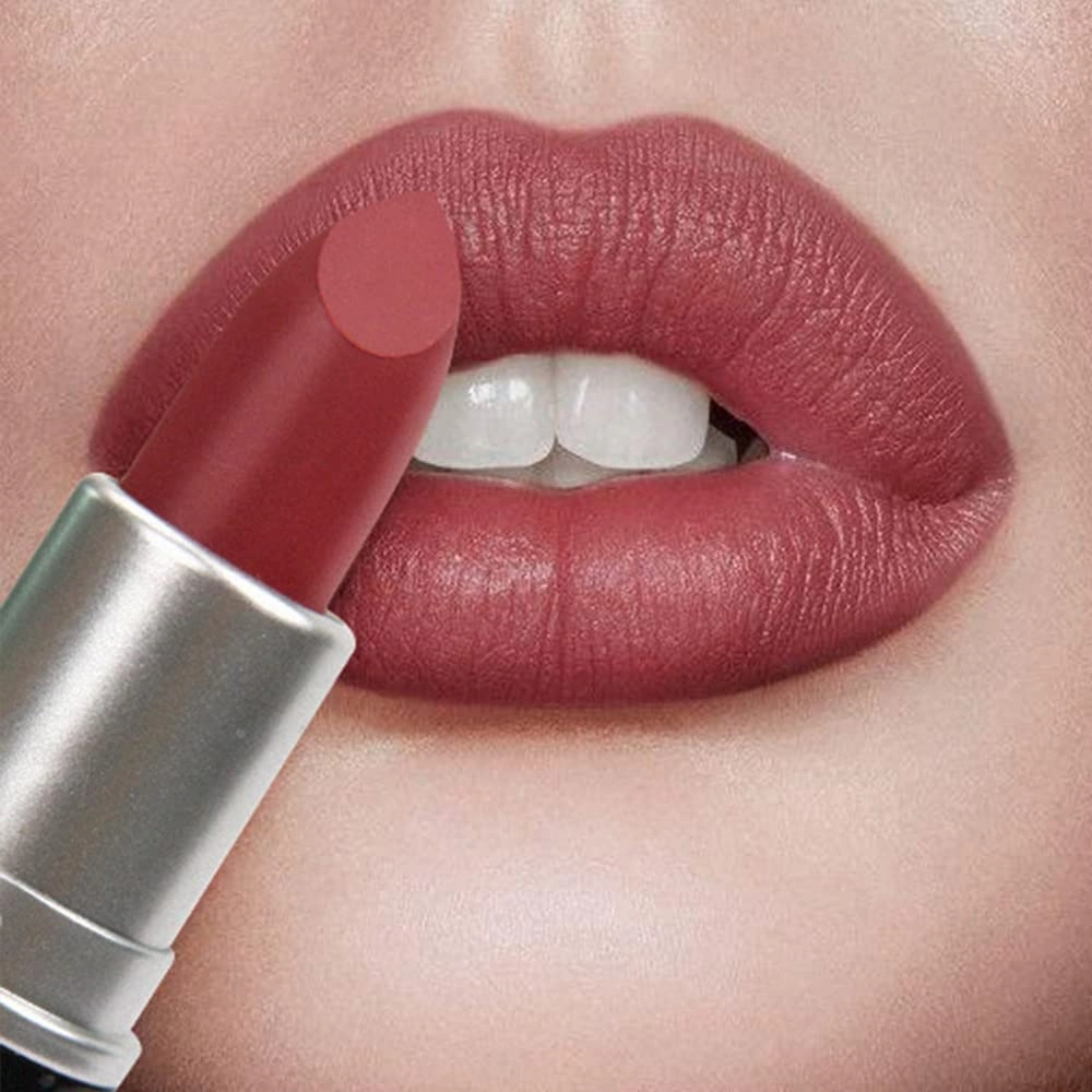 Matte Waterproof LipStick, 14 Colors Long Lasting Lip Makeup No Fade Pigmented Lip Stick Cosmeitc Gift for Girls and Women (12#)