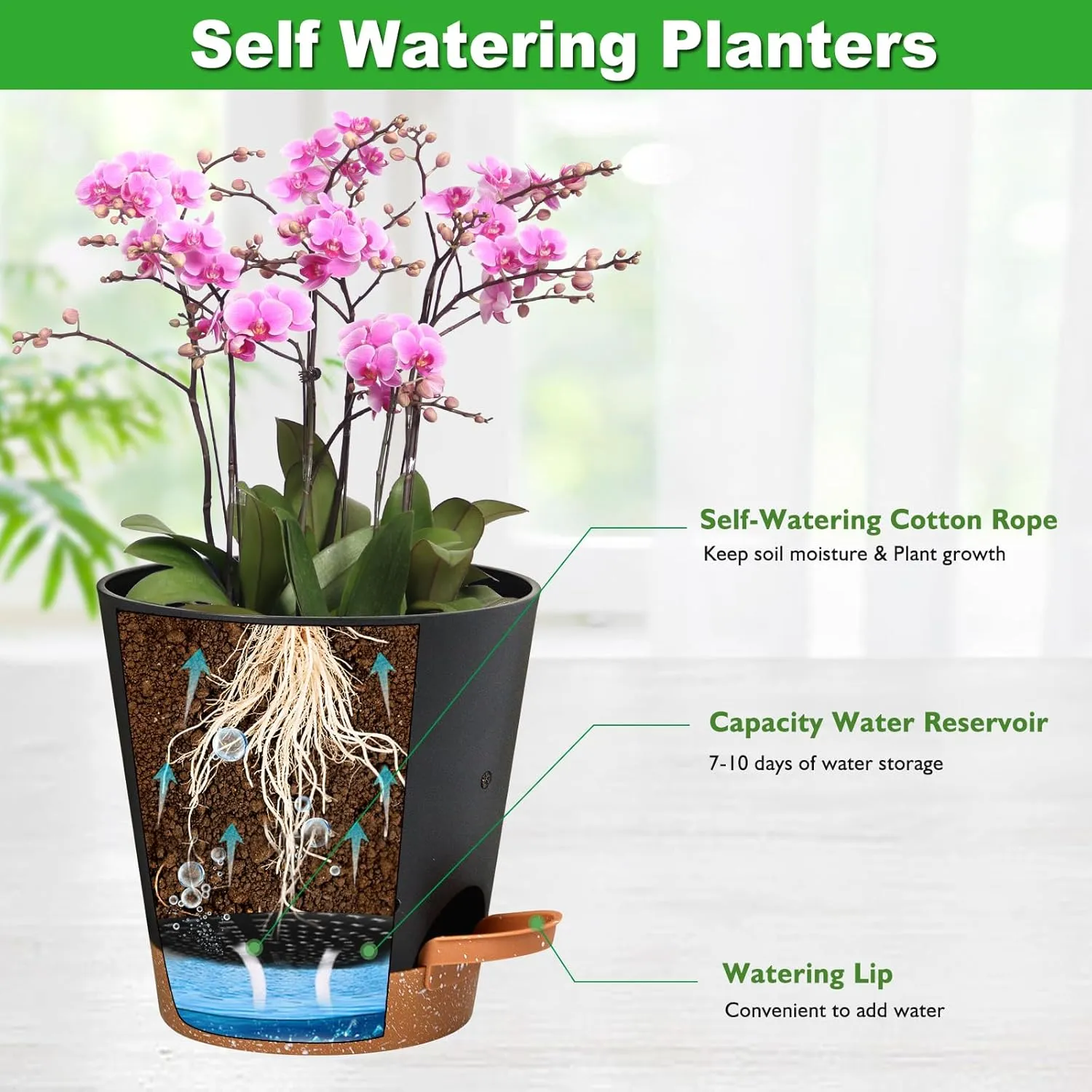 Orchid Pots with Holes, 6 Inch Self Watering Orchid Pot 2 Pack Plastic Plant Pots for Orchid, Flower (Black Brown)
