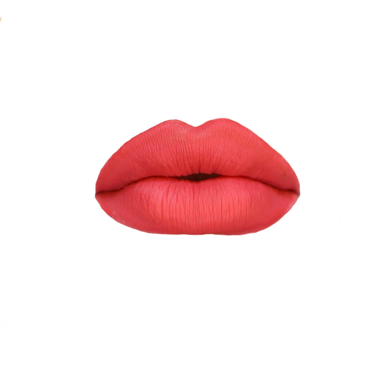 Pussycat Pink 😻 - HIGH PERFORMANCE MATTE LIQUID LIP