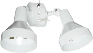 RAB Lighting H2W Bell Shaped Dual Floodlight Kit, PAR38 Type, Aluminum, 300W Power, White, Multicolor