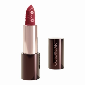 Sinful Matte Lipcolor - Long Lasting Lipstick - Creamy Matte Lipstick Hydrates Lips - Preservative-Free - 005 Envious - 0.12 oz