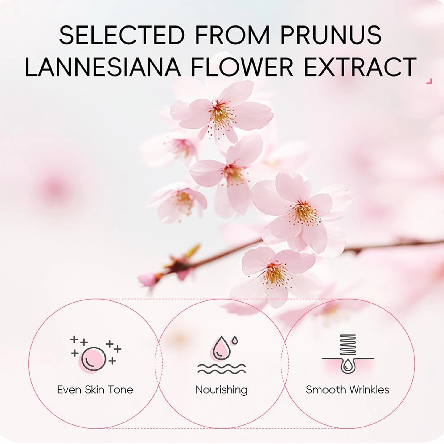 Skin Care Set Sakura Women Beauty Gift Sets Korean Skin Care Kit- Cleanser,Serum,Face Cream,Toner,Eye Cream,Mud Mask-Skin Care Routine Kit (One Size, Cherry Blossom-StyleB-Luxury Moisturizing)