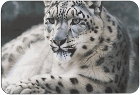 Snow Leopard Bath Mat Soft Velvet Bath Rugs with Rubber Backing Door Mat 23.6 X 15.7 Inches Non Slip Quick Dry Bathroom Mat Absorbent Welcome Mat for Muddy Wet Shoes and Paws
