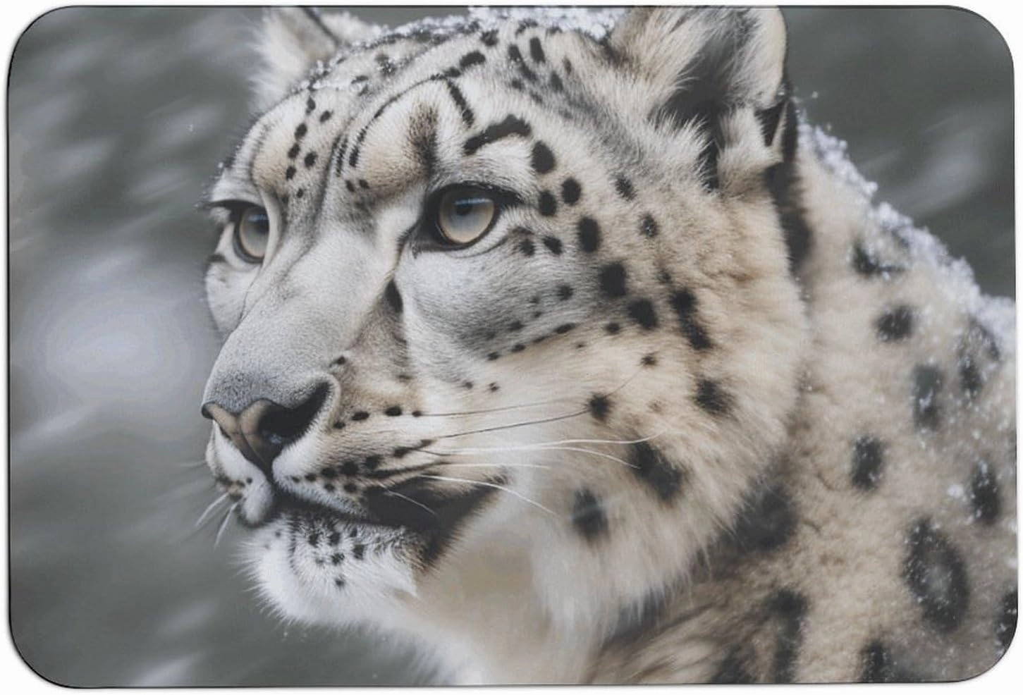 Snow Leopard Bath Mat Soft Velvet Bath Rugs with Rubber Backing Door Mat 23.6 X 15.7 Inches Non Slip Quick Dry Bathroom Mat Absorbent Welcome Mat for Muddy Wet Shoes and Paws