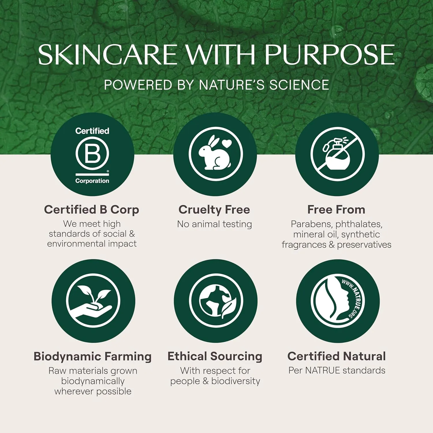 Weleda Skin Food Hydrating Duo, 2.5 Fluid Ounce Skin Food Original Body Cream Skin Food, 0.27 Fluid Ounce Skin Food Lip Butter, Plant Rich Moisturizer with Pansy, Chamomile and Calendula